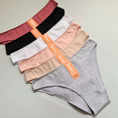 panties