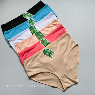 panties
