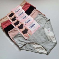 panties