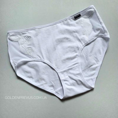 panties