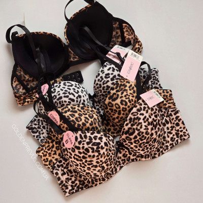 panties
