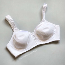 panties