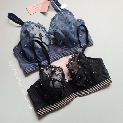 panties