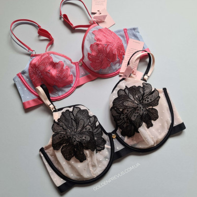 panties
