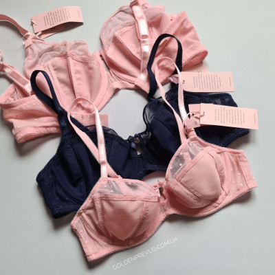 panties