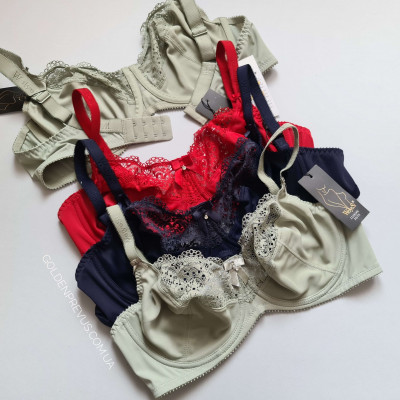 panties