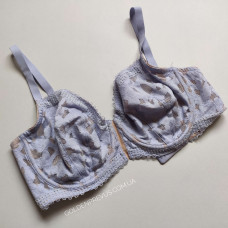 panties