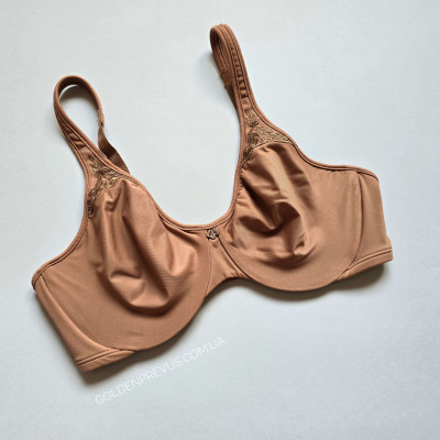 panties