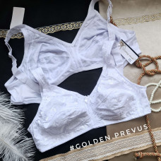 panties