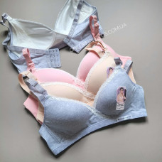 panties