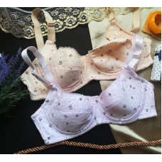 panties