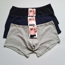 panties