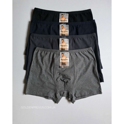 panties