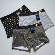 panties