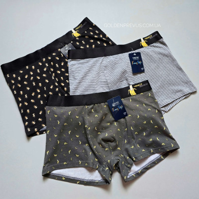 panties