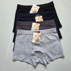panties