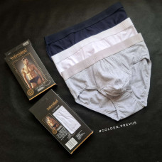 panties