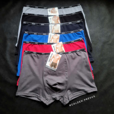 panties